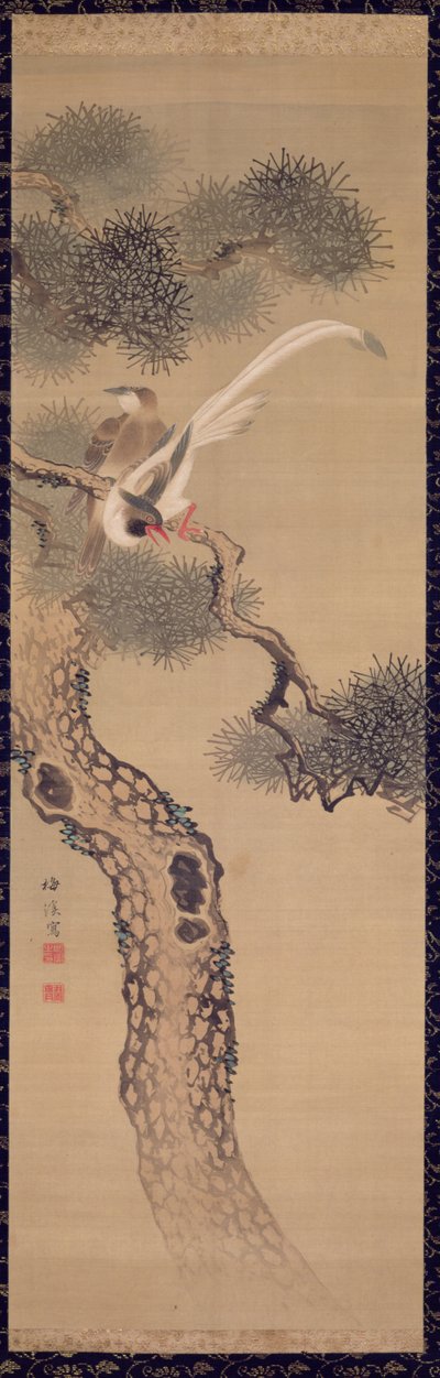 Long-Tailed Birds in Pine Tree by Ariwara Baikei